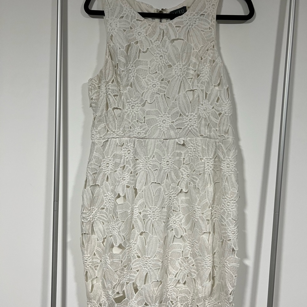 Astr Ivory Floral Lace Mini Dress